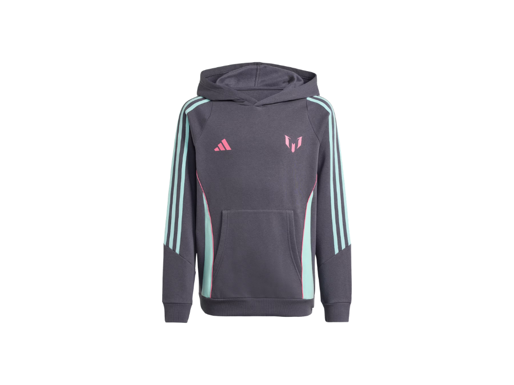 Gray hoodie with colorful stripes and Adidas logo on a white background