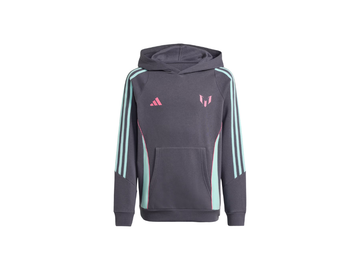Gray hoodie with colorful stripes and Adidas logo on a white background
