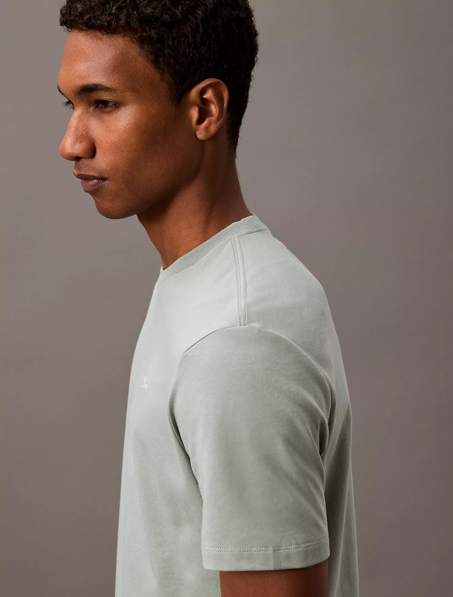 Script Logo Classic Crewneck T-Shirt