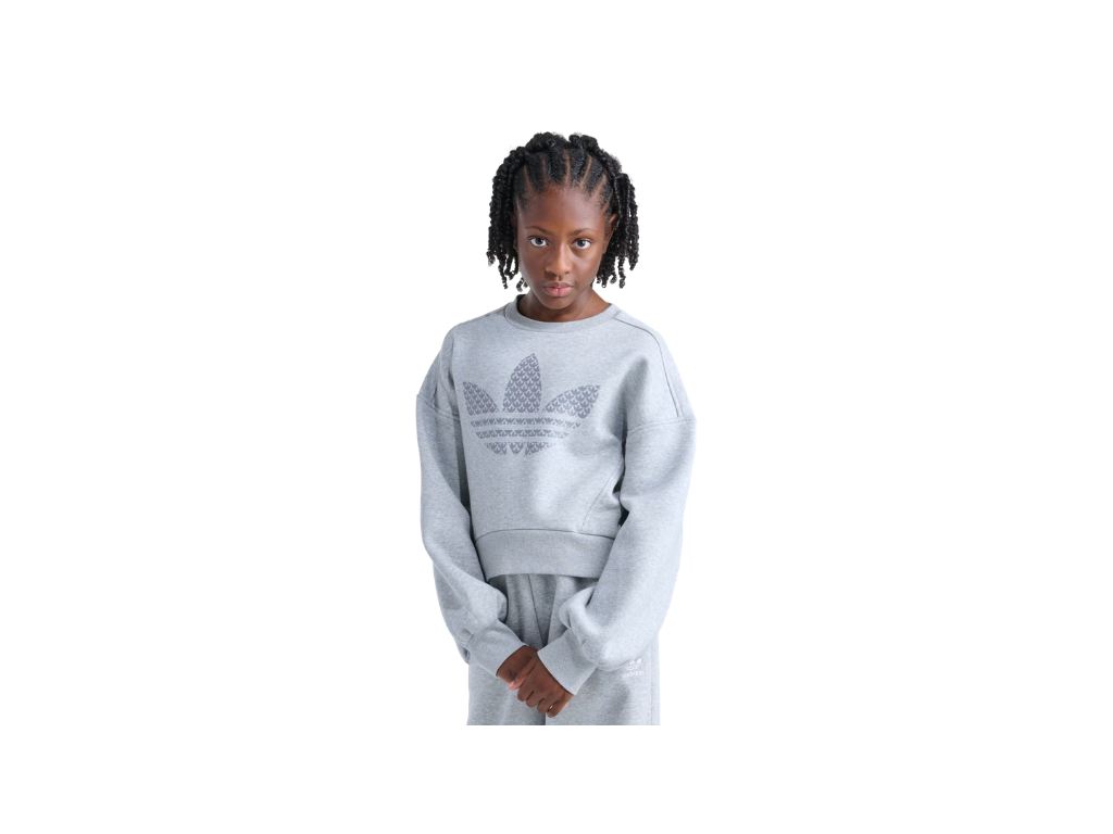 Person wearing a black sweatshirt with a logo on a white background