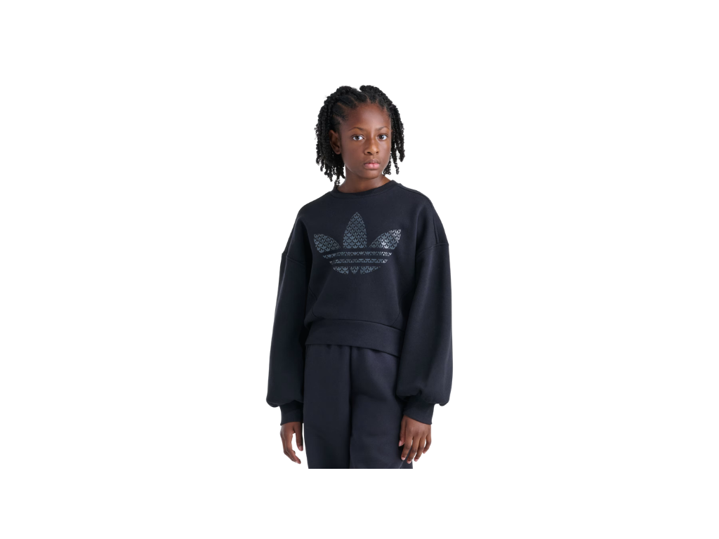 Person wearing a black sweatshirt with a logo on a white background